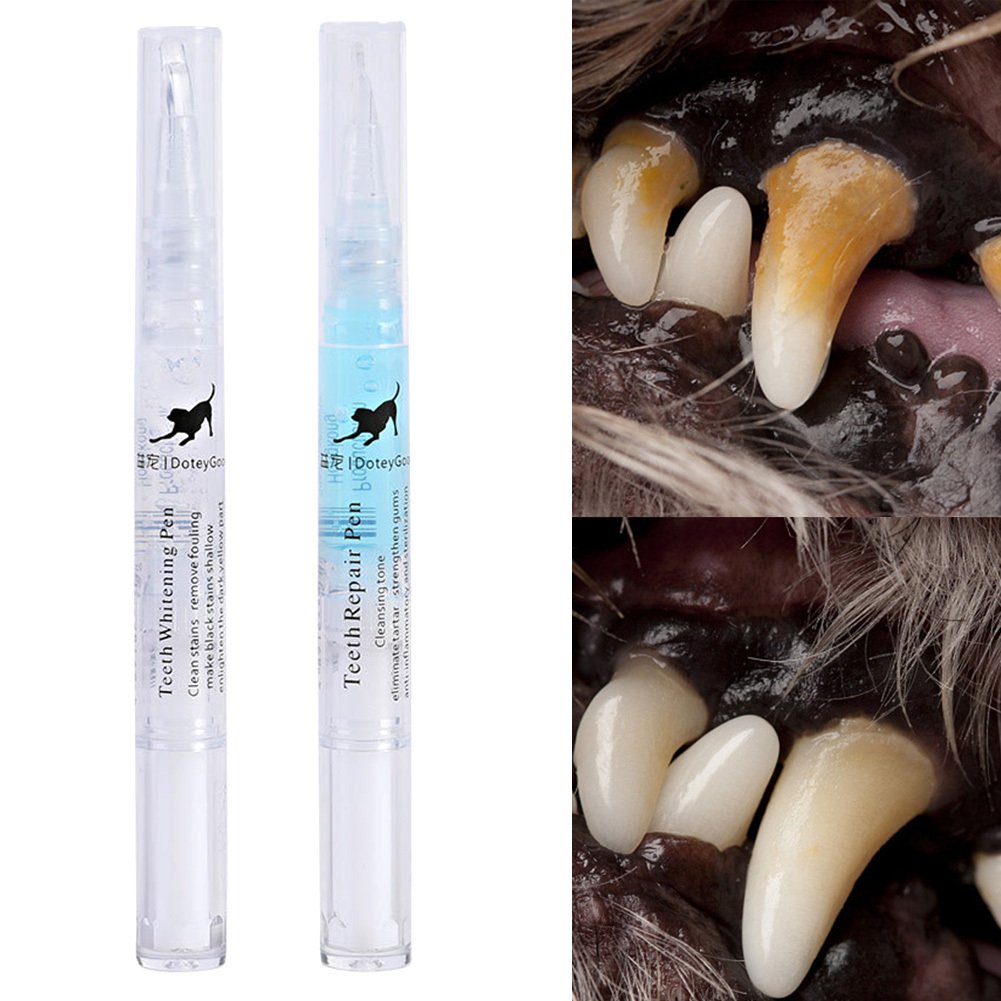 Pet Teeth Repairing Kit For Dog Cat Teeth Cleaning Pen Kit - Image 4