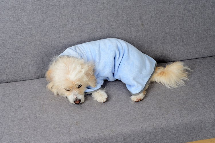 Quick-drying Pet Absorbent Towel Dog Bathrobe Pet Dog Bath Towel For Dogs Cats Microfiber Absorbent Pet Drying Towel Pet Supplies Pet Products - Image 7