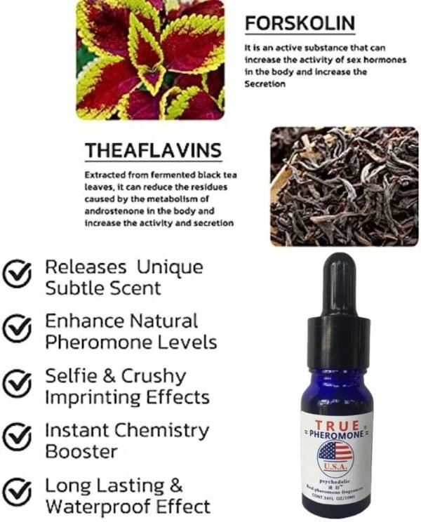 Strong Pheromone For Men Attract Women Long Lasting Pheromone Mens Fragrance Oil For Business Social Events Date Nights - Image 2