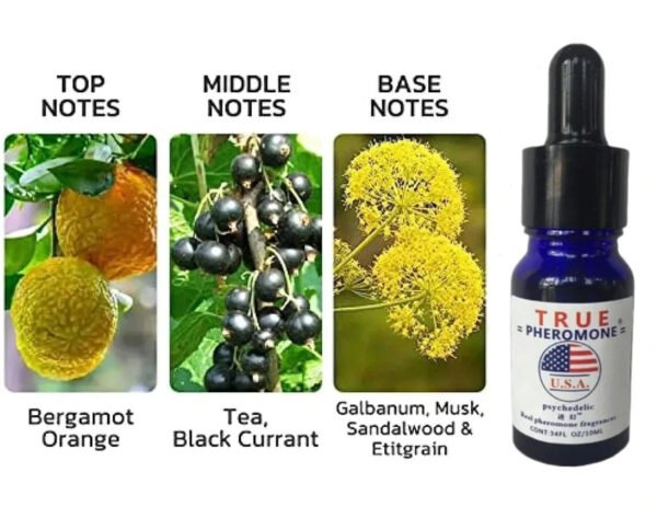 Strong Pheromone For Men Attract Women Long Lasting Pheromone Mens Fragrance Oil For Business Social Events Date Nights - Image 3