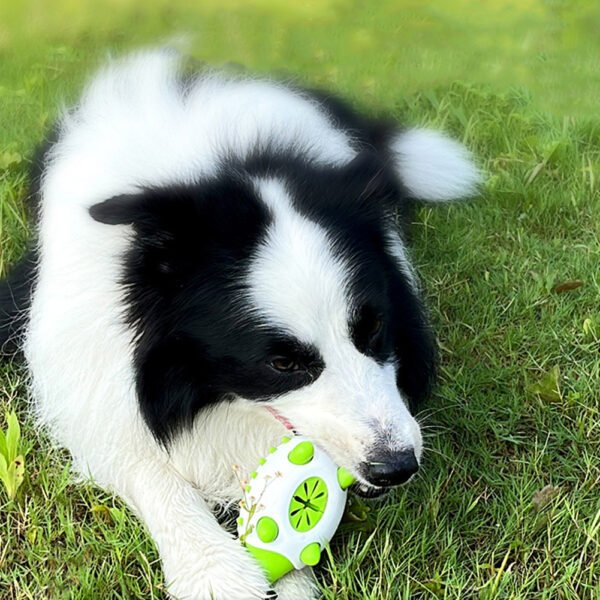 Pet Dog Toy Interactive TPR Leaking Food Toys For Small Large Dogs Cat Chewing Toys Pet Tooth Cleaning Indestructible Puppy Toys - Image 8
